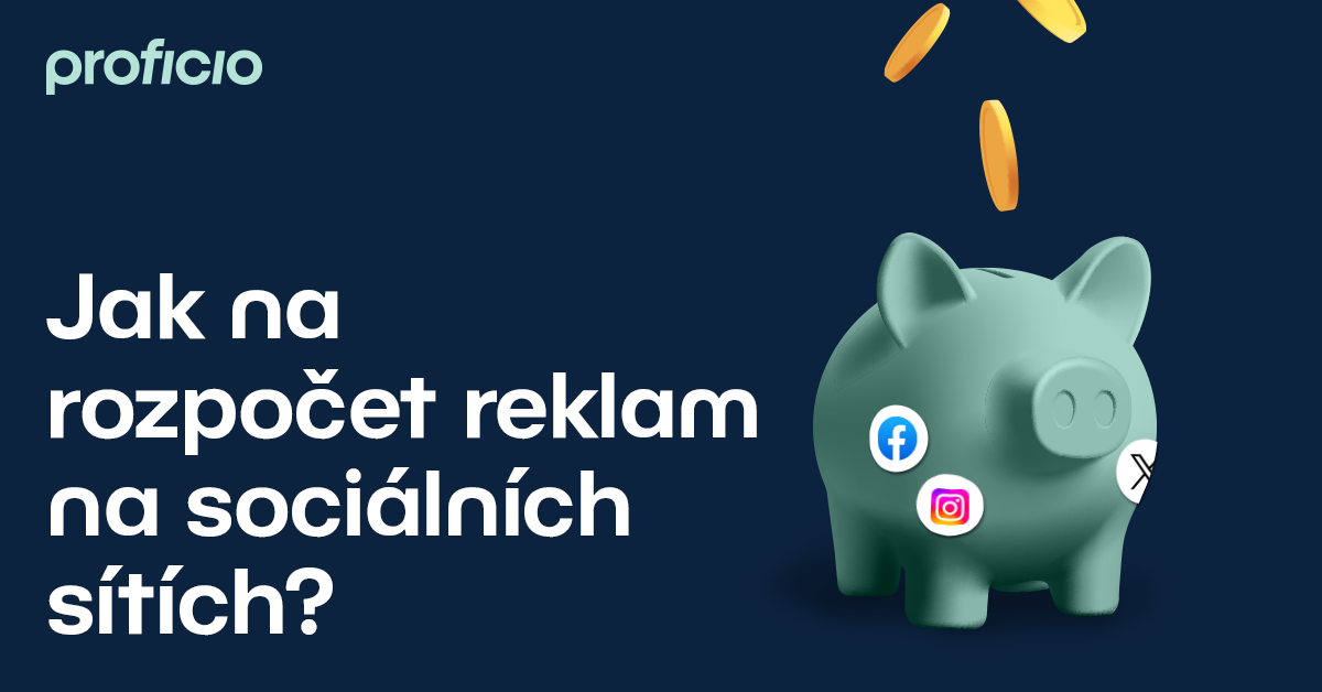Jak na rozpočet na sítích?