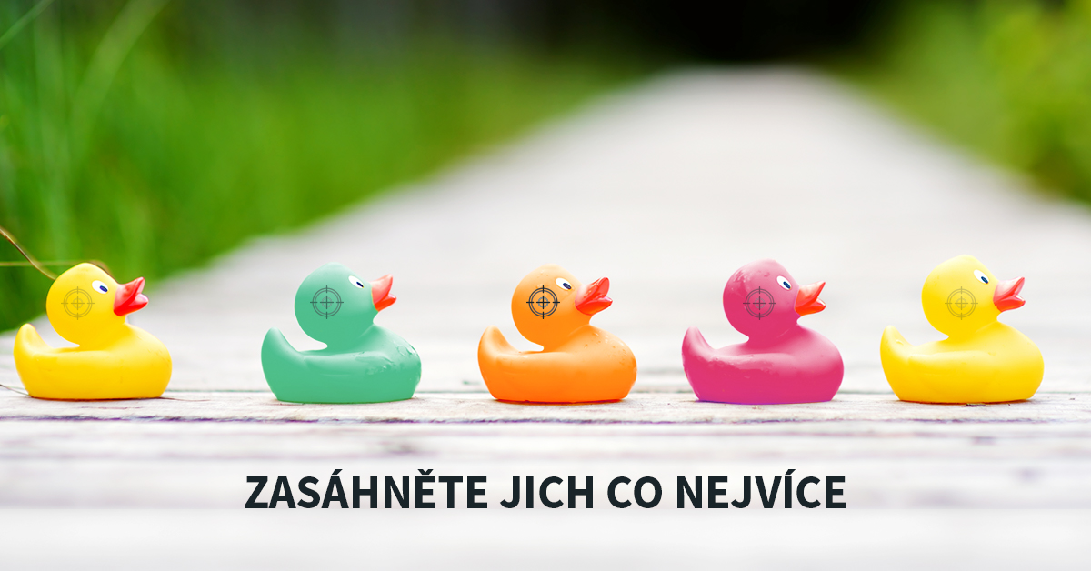Případová studie: Lookalike publikum ve vyhledávání